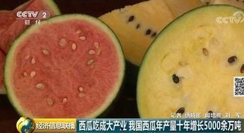 吃瓜视频中吃瓜群众,揭秘吃瓜视频背后的热点事件