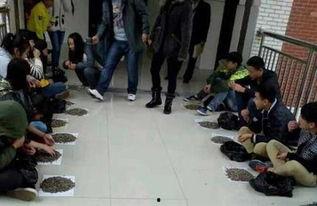 连云港卫校吃瓜视频,校园生活瞬间走红网络