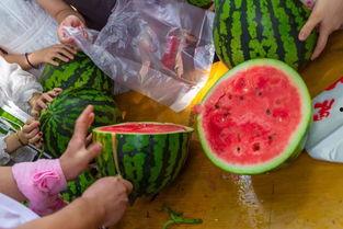 一块吃瓜视频,一场网络热点的狂欢与反思