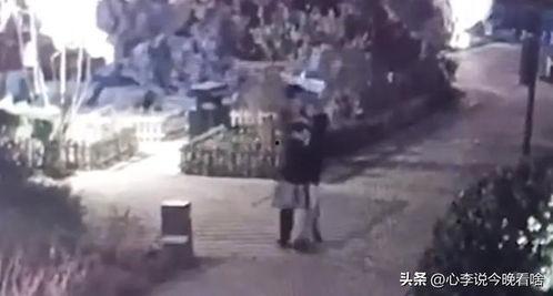 陇西吃瓜事件视频完整版,一场引发热议的网络风波全纪录