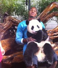 搞笑表情熊猫头吃瓜视频,笑料横生，萌态十足！